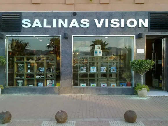 Salinas Visión