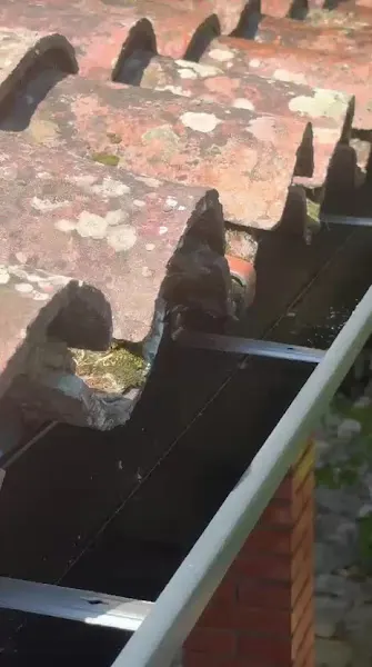 Óptica Quatre 40 Ópticos en Cardedeu