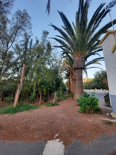 Óptica Natural Optics Fuerteventura - Costa Calma - Pajara