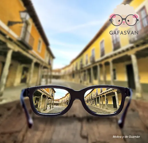 GAFASVAN - Mayorga